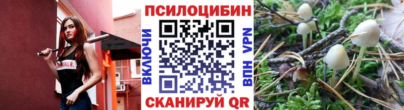 Галлюциногенные грибы мицелий Гусев